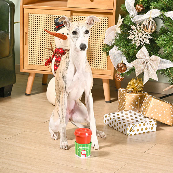 HugSmart Dura Guard Happy Woofmas Snowman Puppuccino