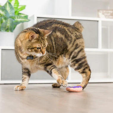 Kittybelles Spider Web Donut and Black Candle Cat Toy 2-Pack