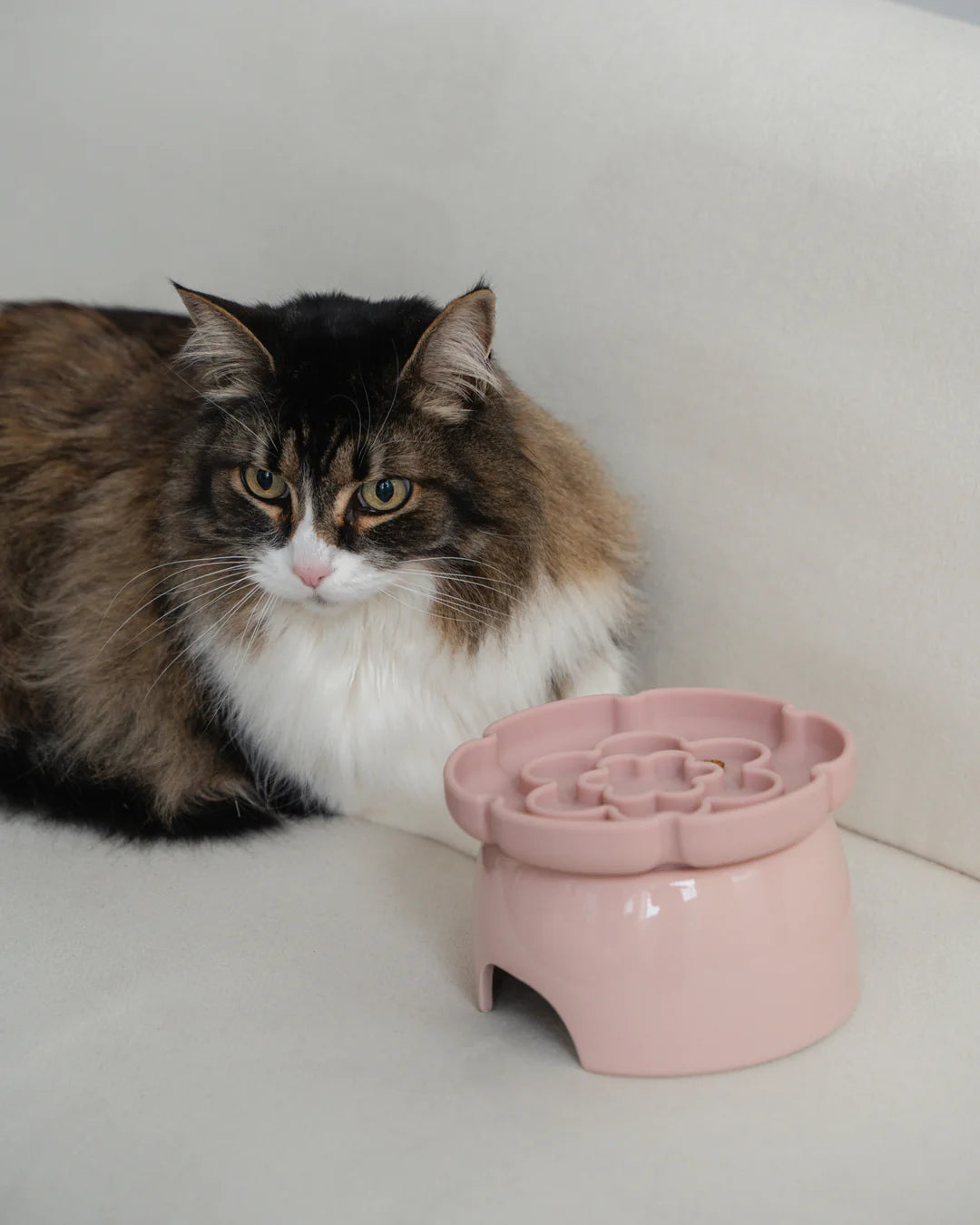 Dexypaws Blush Pink Raised Ceramic Cat Bowl with Flower Slow Feeder