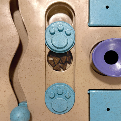 Fou Fou Dog Busy Board Interactive Puzzle Toy