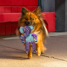 Kong Floppy Knots Elephant