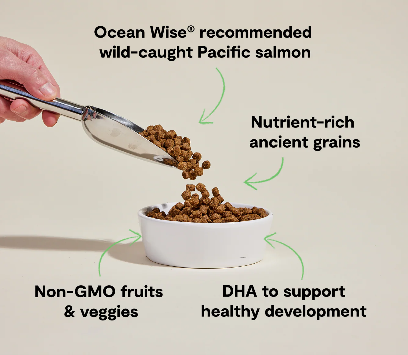 Open Farm® Puppy Salmon & Ancient Grains Dry Dog Food