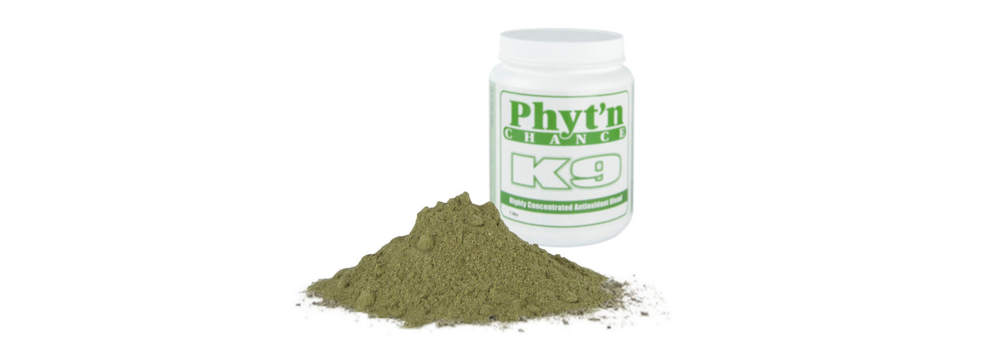 Feed-Sentials🍁Phyt'N Chance - Highly Concentrated Antioxidants