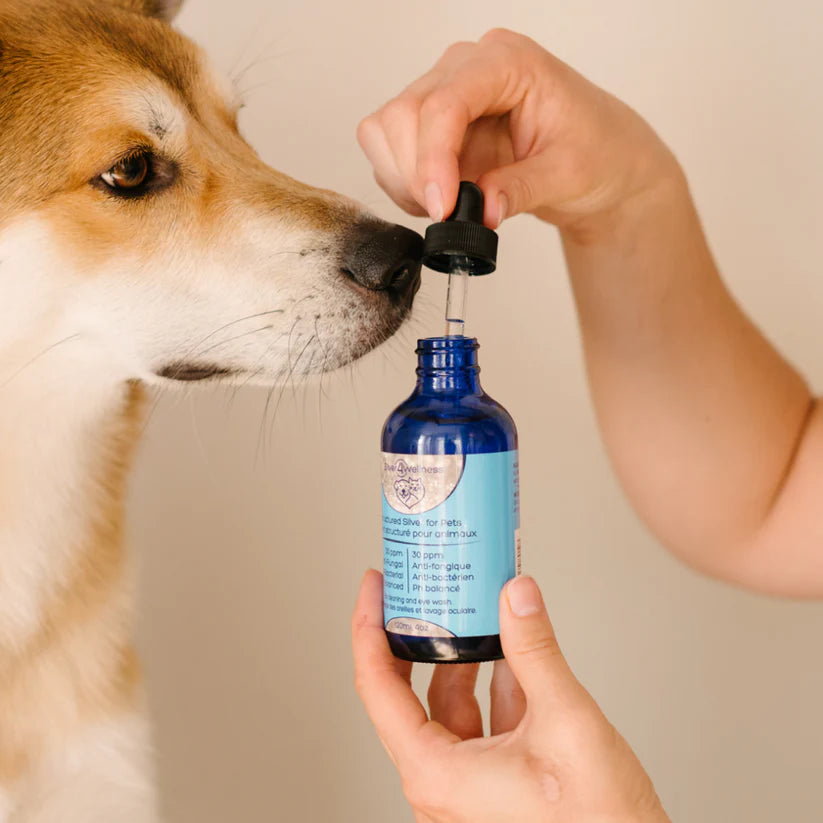 Silver4Wellness 🍁Structured Silver for Pets 30ppm with Glass Dropper 120ml