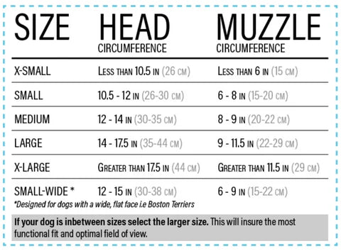 Rex Specs V2 Black Dog Goggle