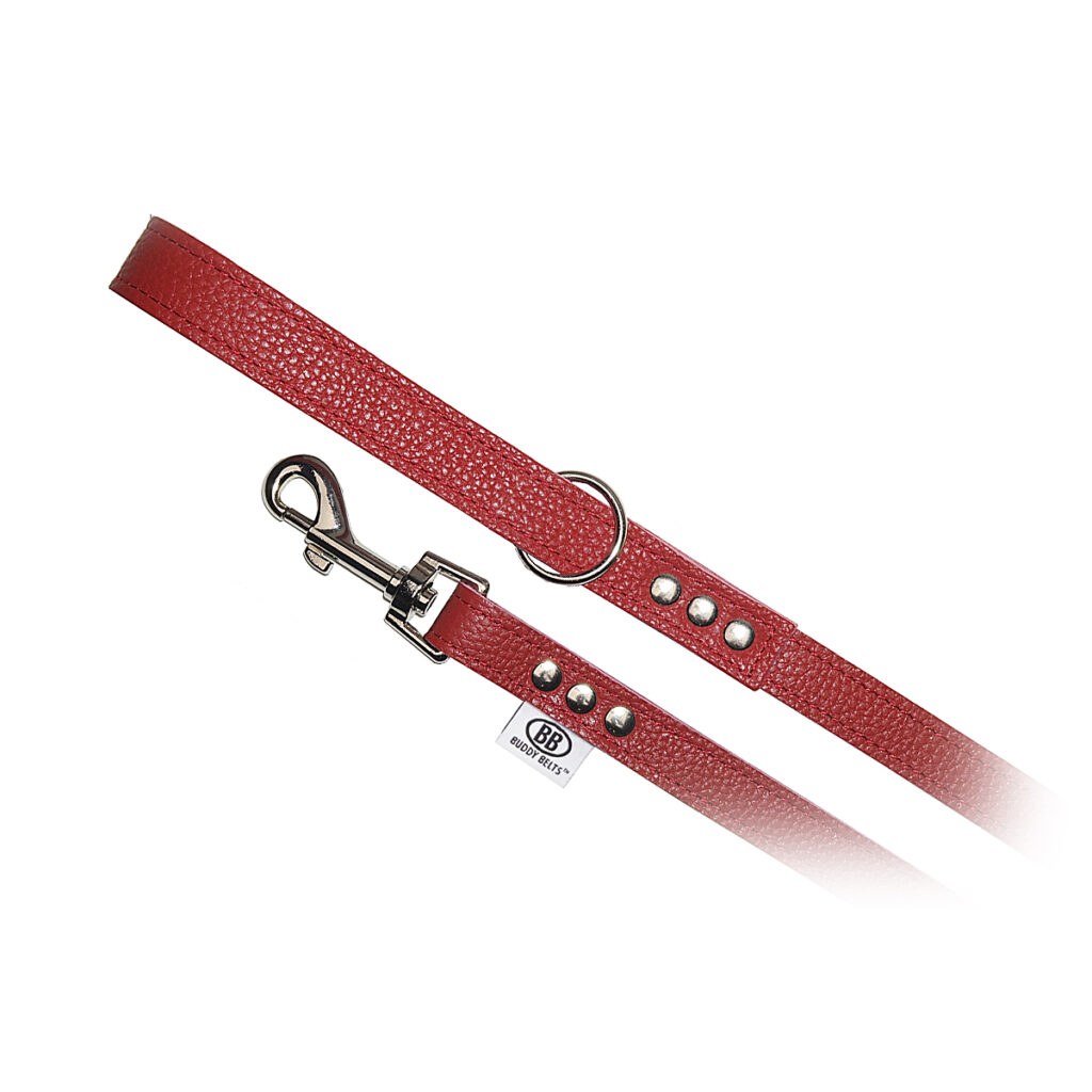 Buddy BeltšRed All Leather Leash
