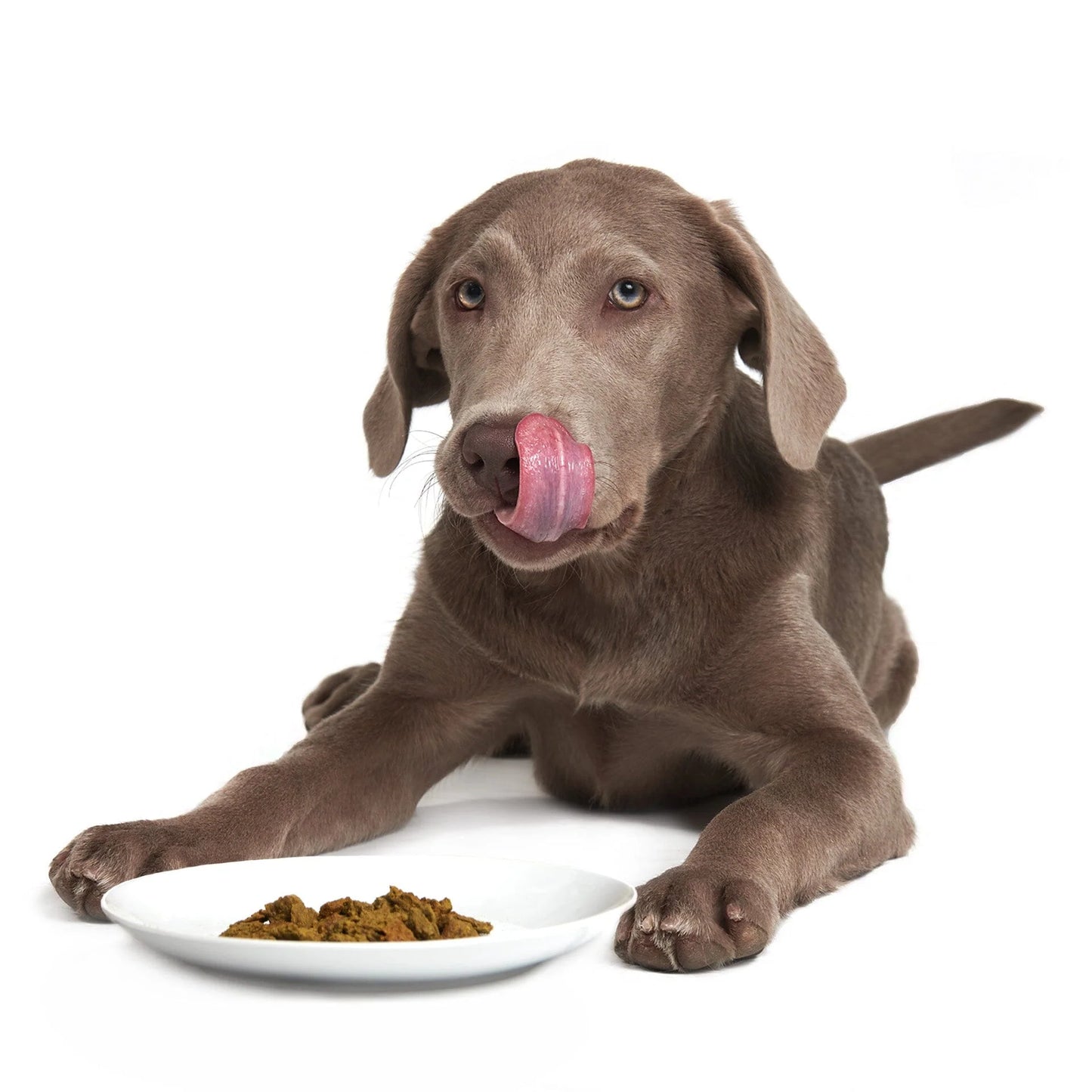 Smackš Caribbean Salmon Fusion Raw Dehydrated Super Food for Dogs