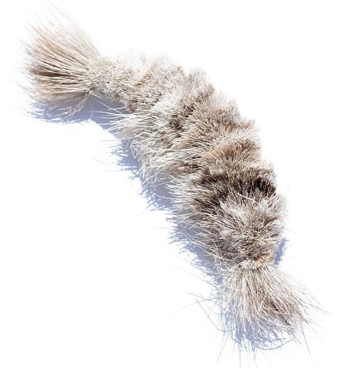 Cat Lures Big Cat Lure Jumbo Natural Shrimp