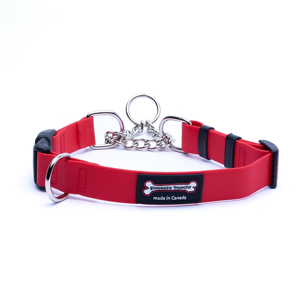 Smoochy Poochy 🍁Red Waterproof Martingale Collar