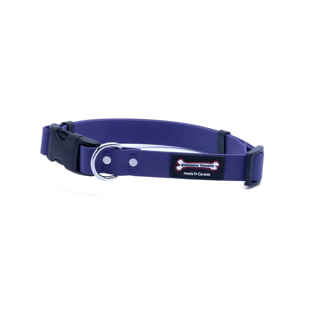 Smoochy Poochy 🍁Purple Quick Release Biothane Collar
