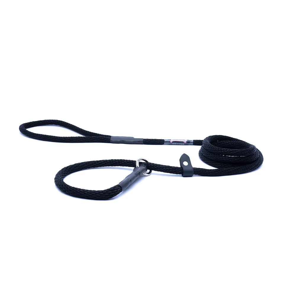 Smoochy Poochy 3/8" x 6ft Black Rope Slip Lead