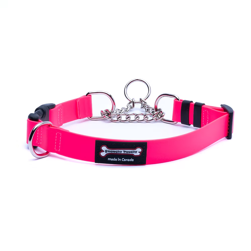 Smoochy Poochy 🍁Hot Pink Waterproof Martingale Collar