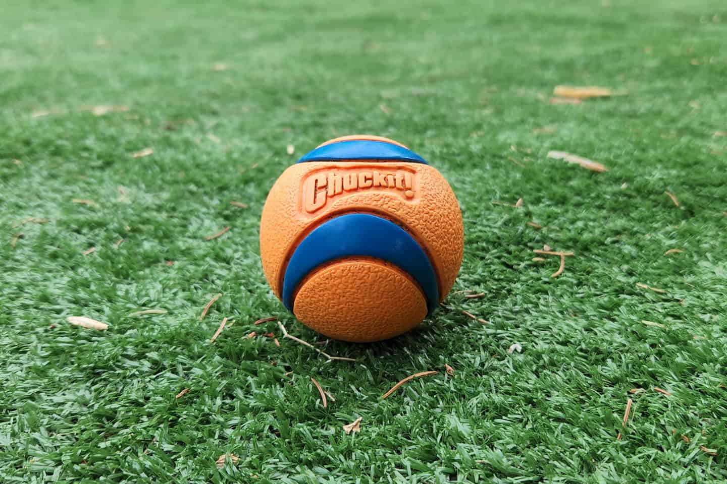 Single - Chuck It! Medium UltraBall
