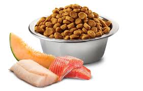 Farmina N&D Ocean Salmon, Cod & Cantaloupe Med/Maxi Dog Food