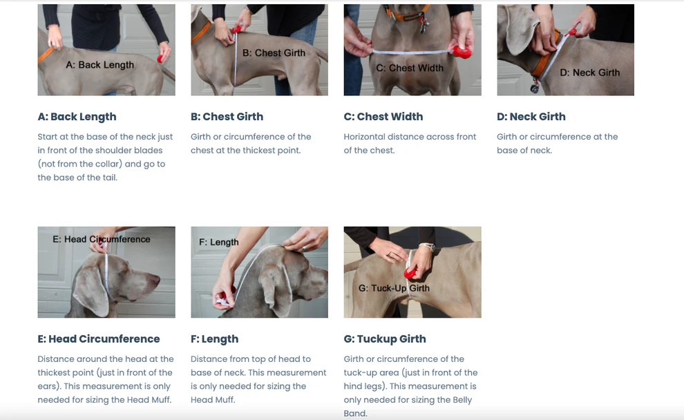 Chilly Dogs🍁 13" Red Broad & Burly Great White North Coat