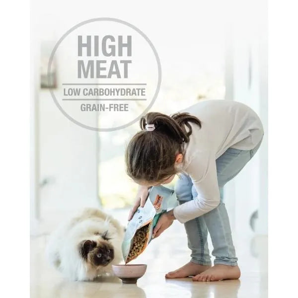 Feline Natural Beef Feast for Cats 320g