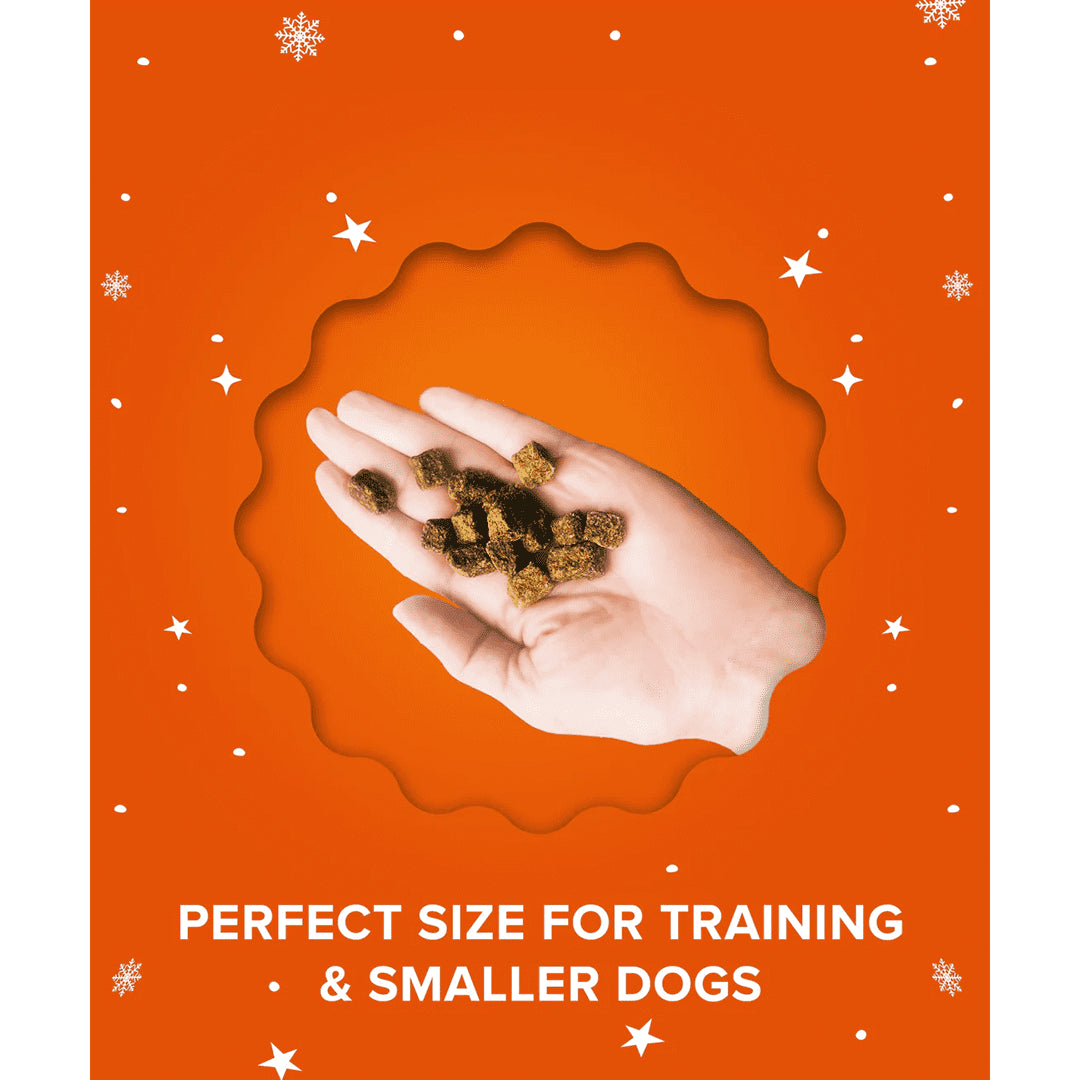 Beef & Pumpkin Holiday Bites 85g - Plato Pet Treats