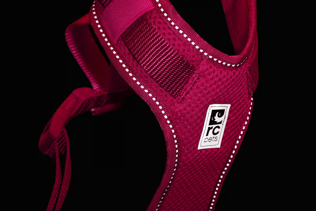 RC Pets🍁 Small Azalea Moto Control Harness