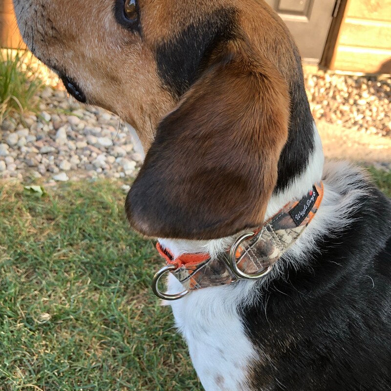 Wiggle BumzđTree Camo Orange Martingale Dog Collar