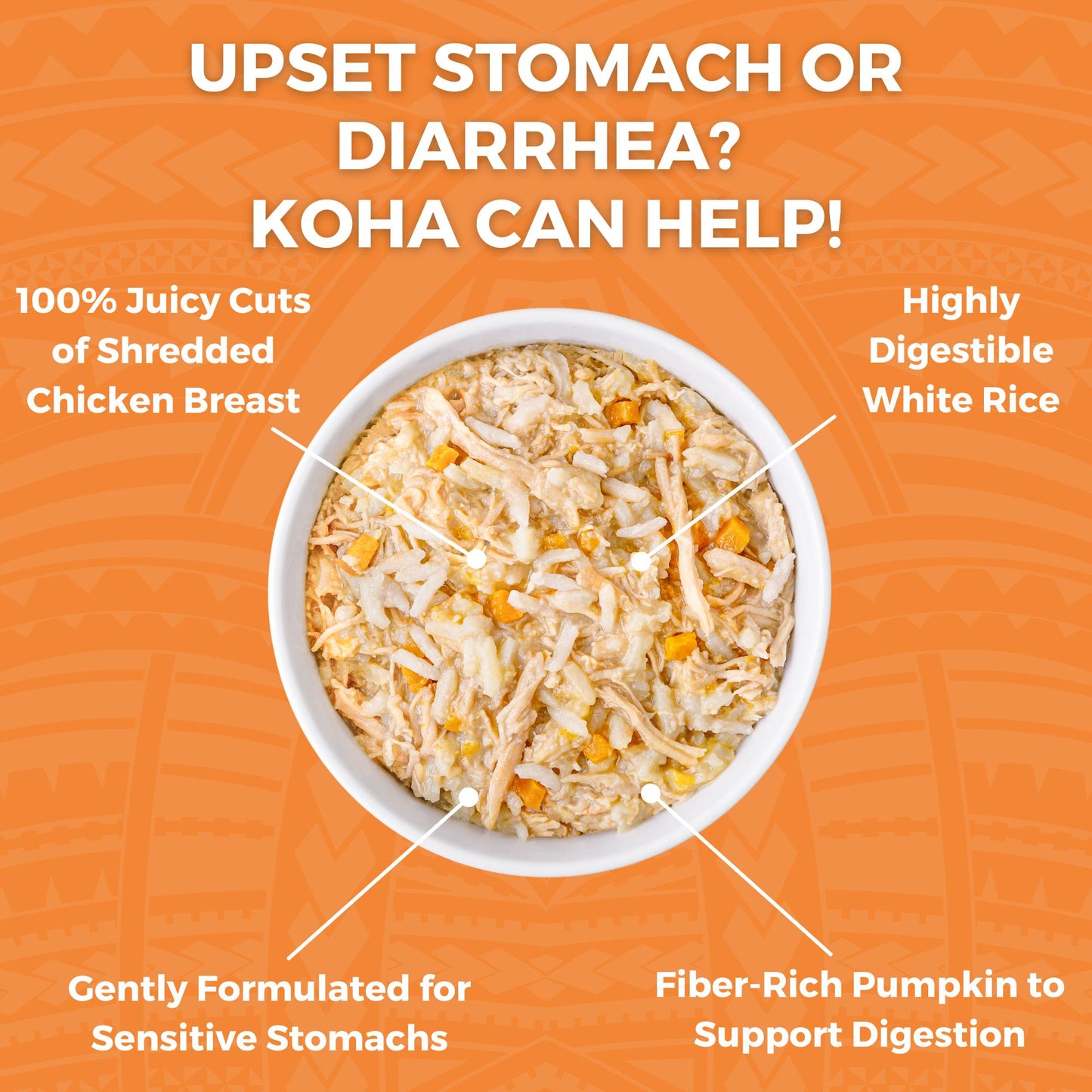 Koha Bland Diet Chicken & White Rice with Pumpkin for Cats 2.8oz