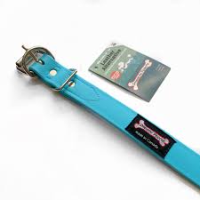 Smoochy Poochy 20 x 1.5" Turquoise Poly Collar