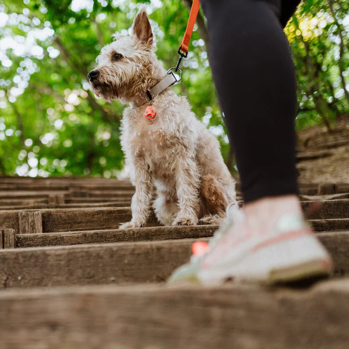 Tickless Classic Pink Ultrasonic Tick and Flea Repellent