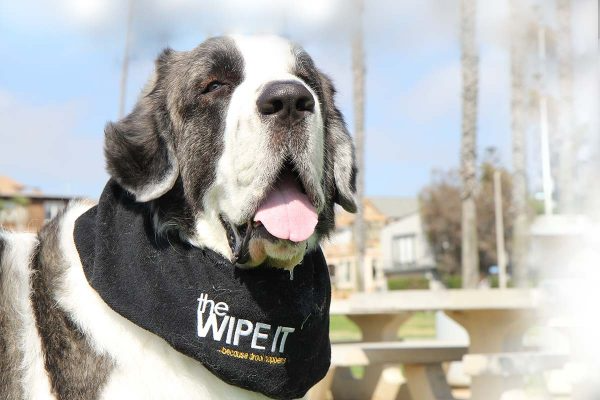 The Wipe It Drool Catcher