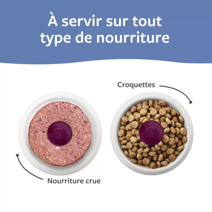 Faim Museau 🍁Healthy Delicacies Frozen Blueberry Yogurt 6 x 30g