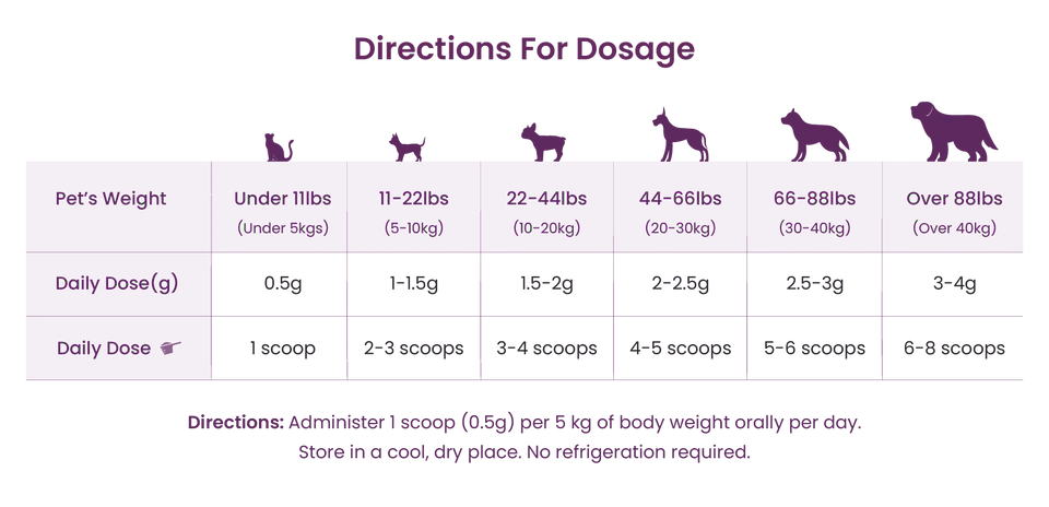 Companions Choice 🍁Pre & Probiotic Supplement
