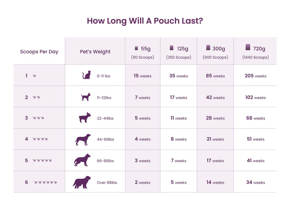 Companions Choice 🍁Pre & Probiotic Supplement