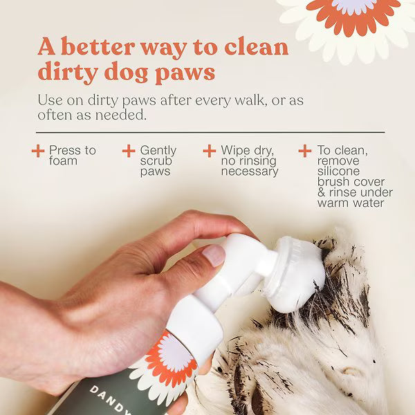 Dandylion 🍁 Clean Paws No-Rinse Foaming Cleanser
