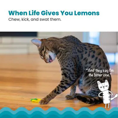 Catstages® Dental Lemon Teether
