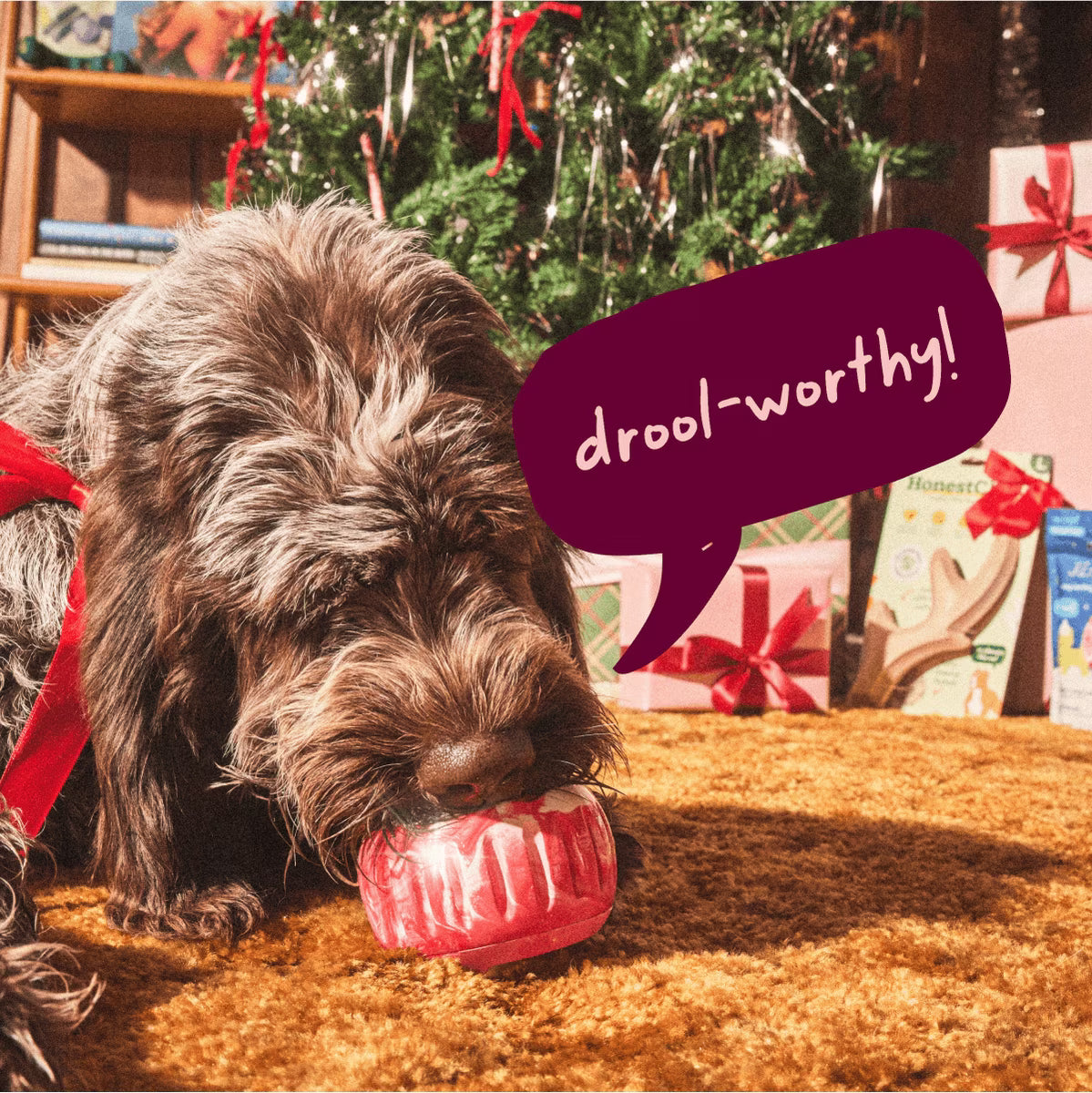 Woof Holiday Pupsicle