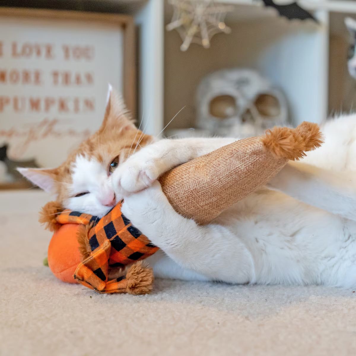Feline Frenzy Halloween – Plush Scarecrow Catnip Kicker