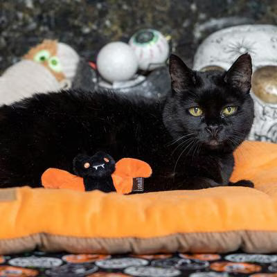 Feline Frenzy Plush Catnip toy – Halloween Creepy Critters – 2pk