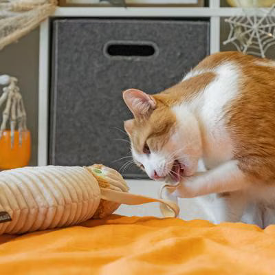 Feline Frenzy Halloween – Plush Mummy Catnip Kicker