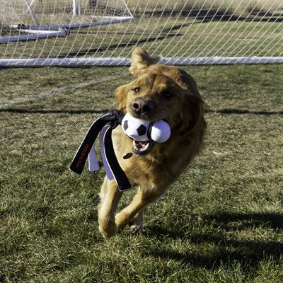 Kong Soccer Sport Wubba Large