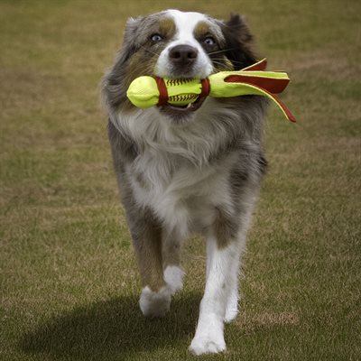 KONG Wubba Sport Softball Small