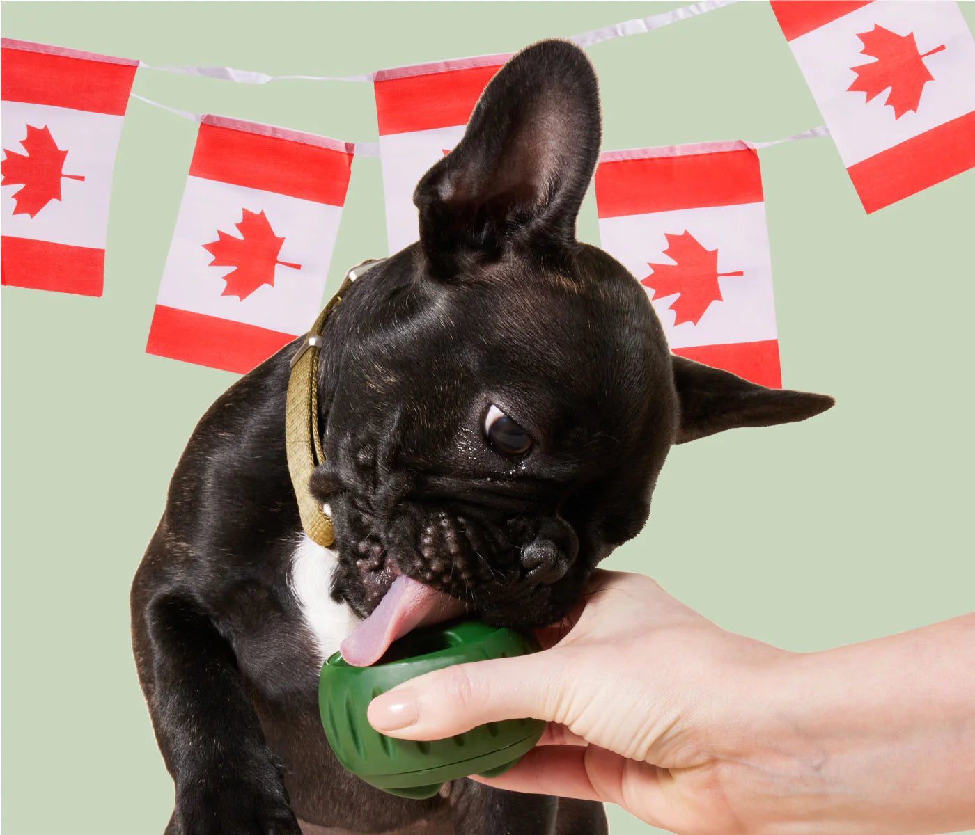 Woof PB & Chicken Pupsicle Refill Pops