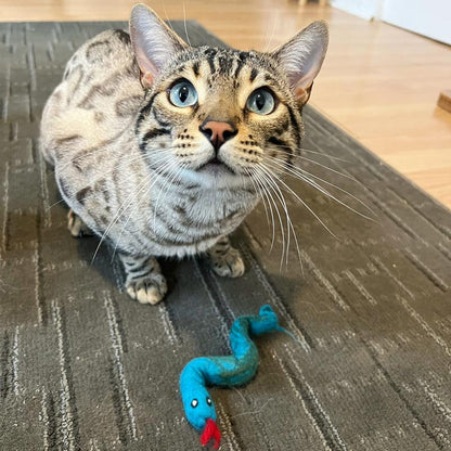 Dharma Dog Karma Cat Wool Felt Backyard Toys - Singles