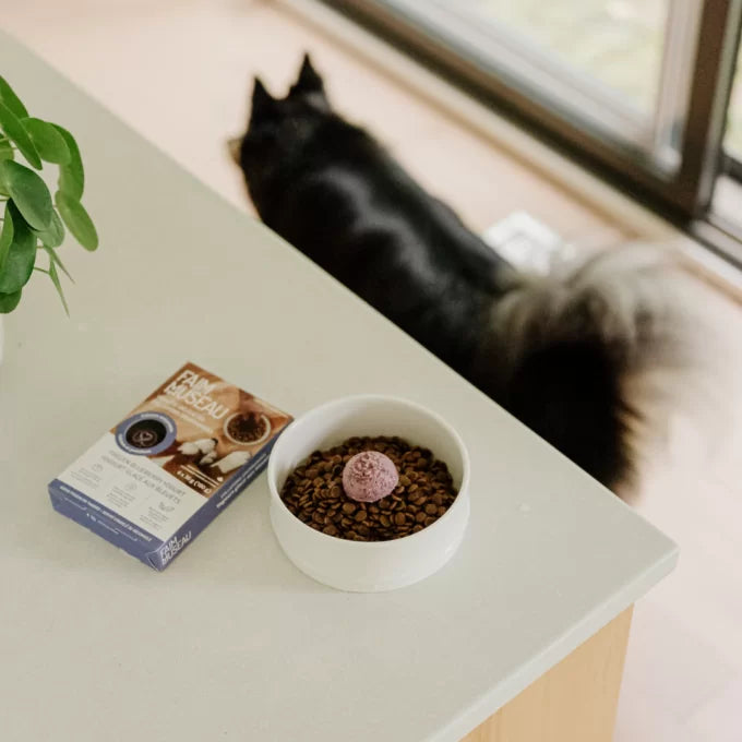 Faim Museau 🍁Healthy Delicacies Frozen Blueberry Yogurt 6 x 30g