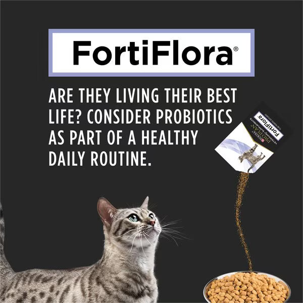 Purina® Fortiflora®  For Cats