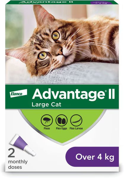 Elanco Advantage II Large Cats over 4kg