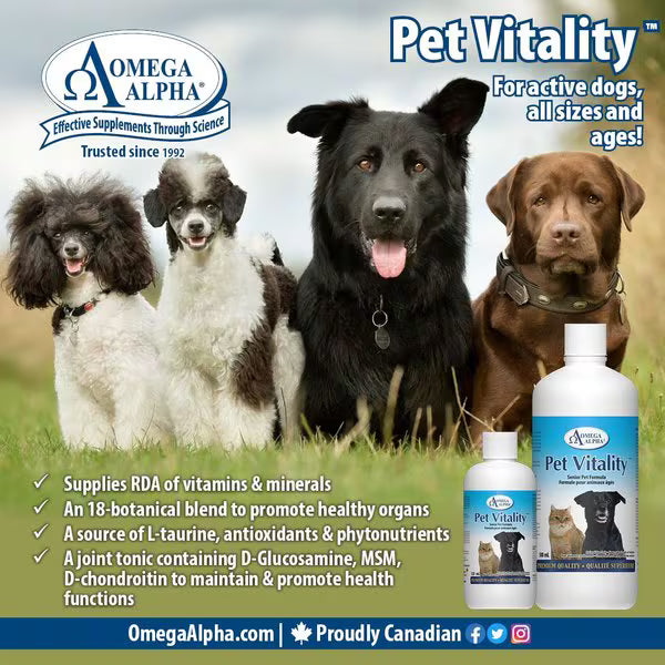 Omega Alpha 🍁Pet Vitality 500ML