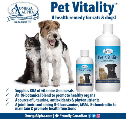 Omega Alpha 🍁Pet Vitality 500ML
