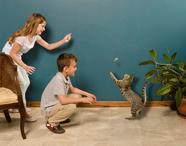 Cat Dancer Original Interactive Cat Toy