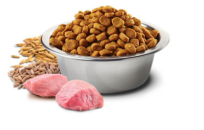 Farmina N&D Tropical Selection Adult Med/Maxi Pork, Spelt, Oats & Fruits for Dogs