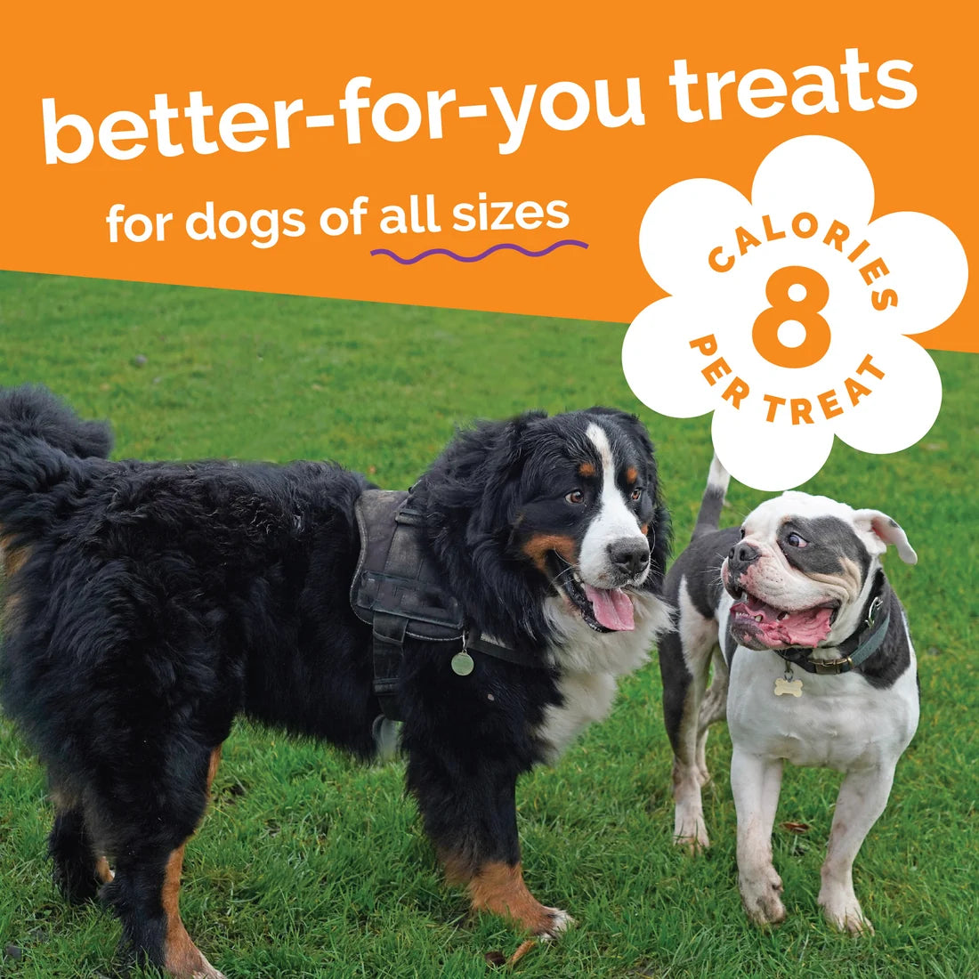 Fruitables Sweet Potato & Pecan Dog Treats 7oz