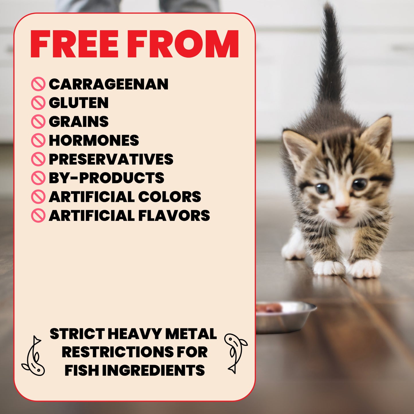 Almo Nature HQS Natural Kitten Food - Whitefish With Mackerel In Broth 70g
