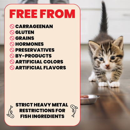 Almo Nature HQS Natural Kitten Food - Whitefish With Mackerel In Broth 70g